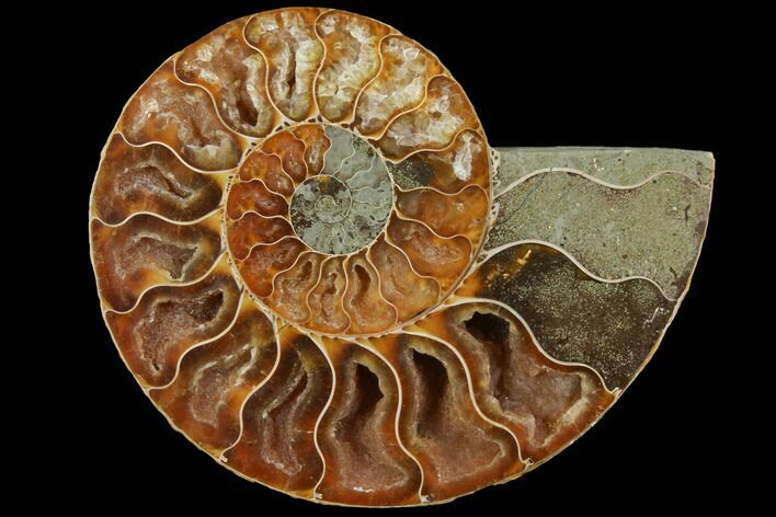 Agatized Ammonite Fossil (Half) - Crystal Chambers #111489